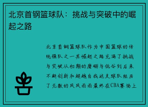 北京首钢篮球队:挑战与突破中的崛起之路 北京首钢篮球队:挑战与突破中的崛起之路